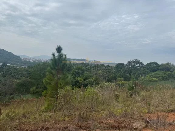 Imagem TERRENO RESIDENCIAL em São José - SC, Forquilhas