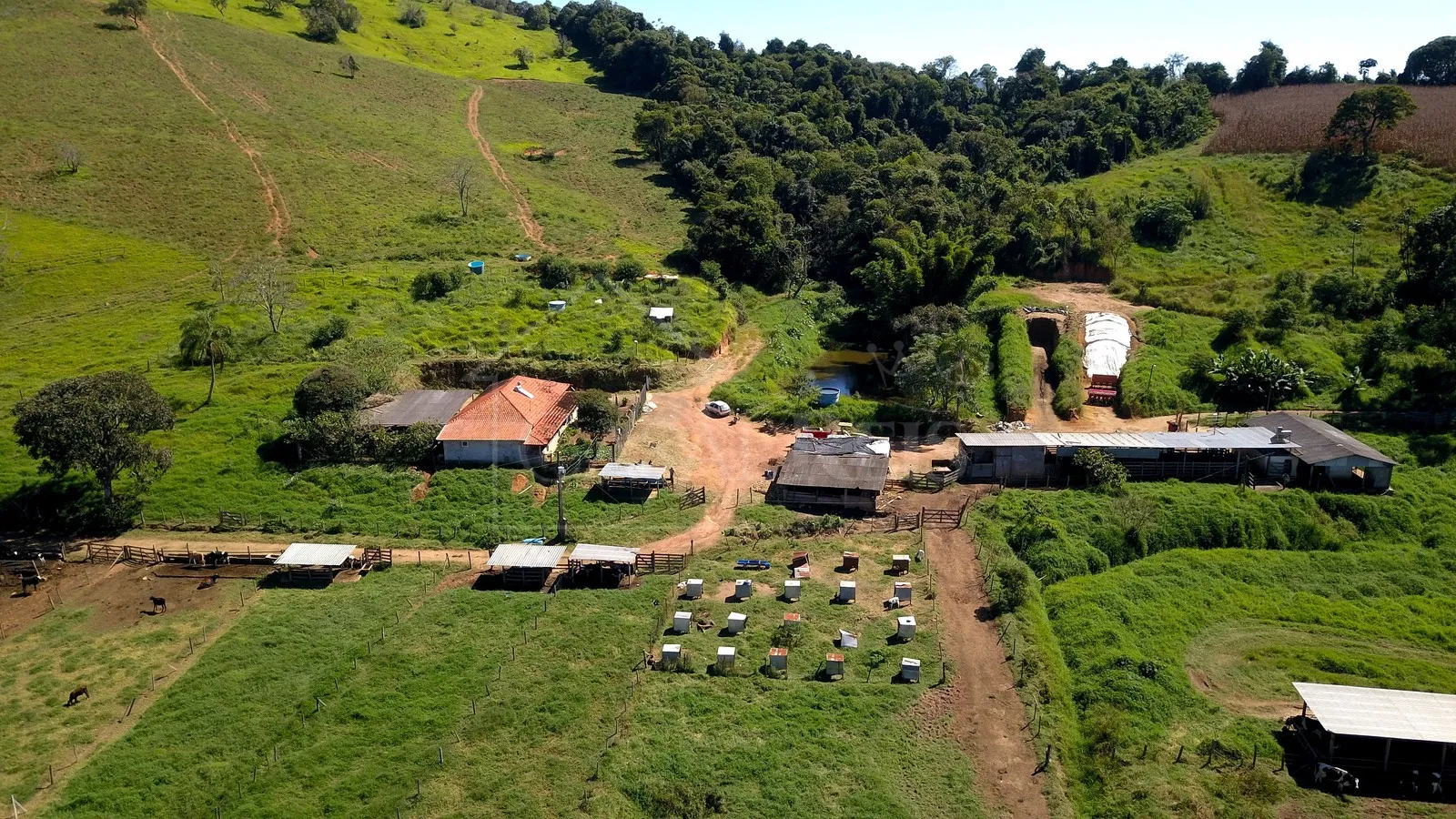 Imagem Sítio 24,2 ha à venda em Área Rural, Caldas