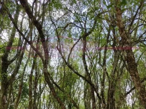 Imagem Chacara a venda na Cidade de Boituva