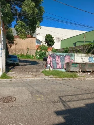 Imagem Terreno - São Paulo - SP - Cidade Patriarca