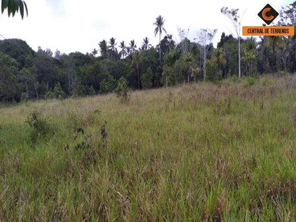 Foto do imóvel TERRENO NA VIA PARAFUSO