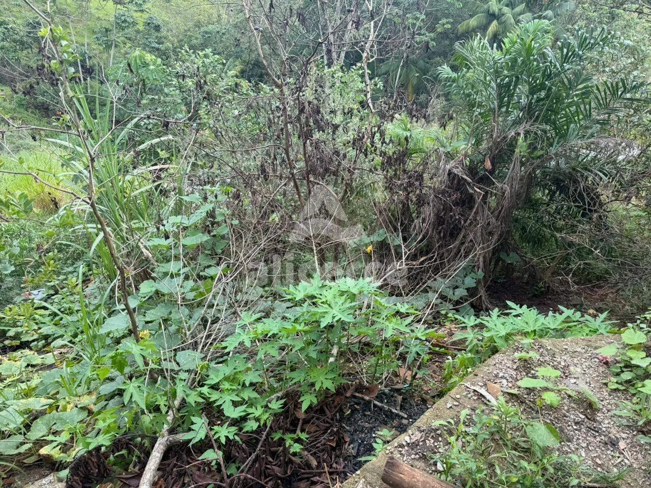 Imagem Sítio/Chacará à Venda no Pagará - Santo Amaro da Imperatriz/SC