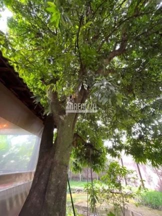 Imagem Casa com piscina e varanda no bairro Boa Vista, Uberaba