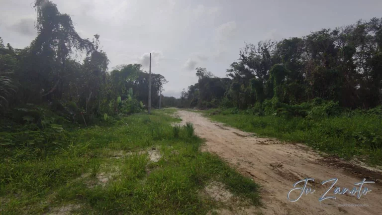 Imagem Terreno Lote Praia Grande Matinhos com Registro de Imóveis e IPTU