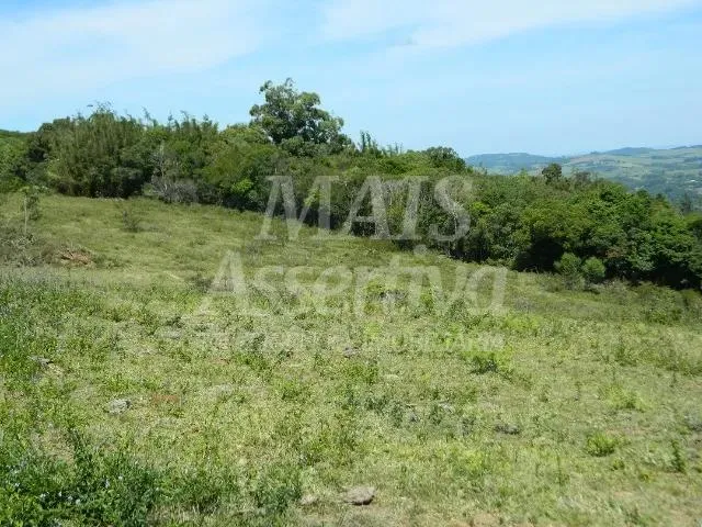 Imagem Excelente sítio para venda localizado no bairro Morungava em Gravataí/RS