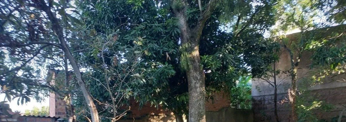 Imagem Terreno em Menino Deus