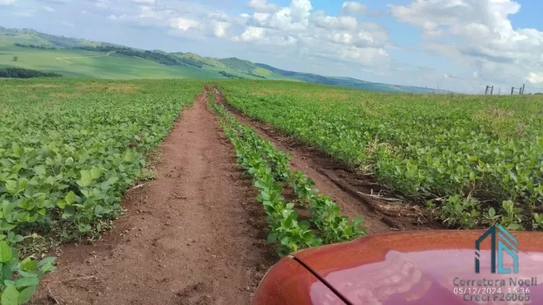 Imagem Fazenda com 57 alqueires (plantando 46) Solo roxo alta fertilidade, Engenheiro Beltrão PR