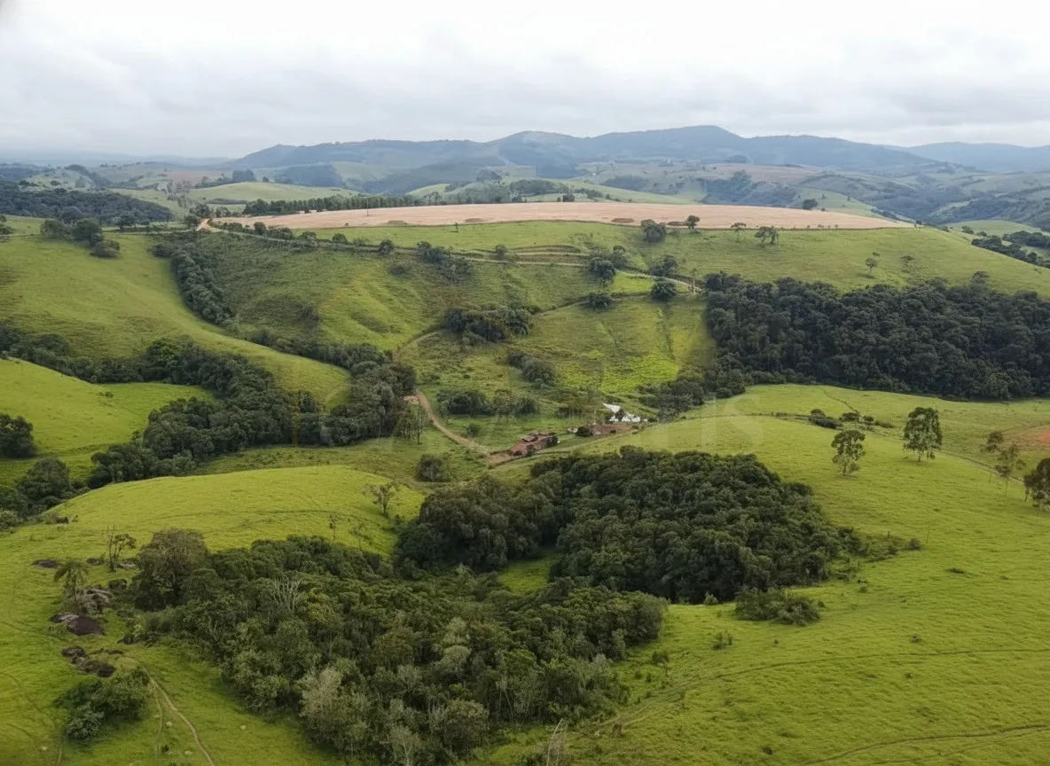 Imagem Sítio 52,64 ha à venda em Figueira, Caldas