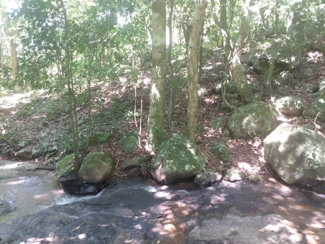 Imagem Chácara para venda, bairro Voluntário Baixo em Igrejinha/RS.