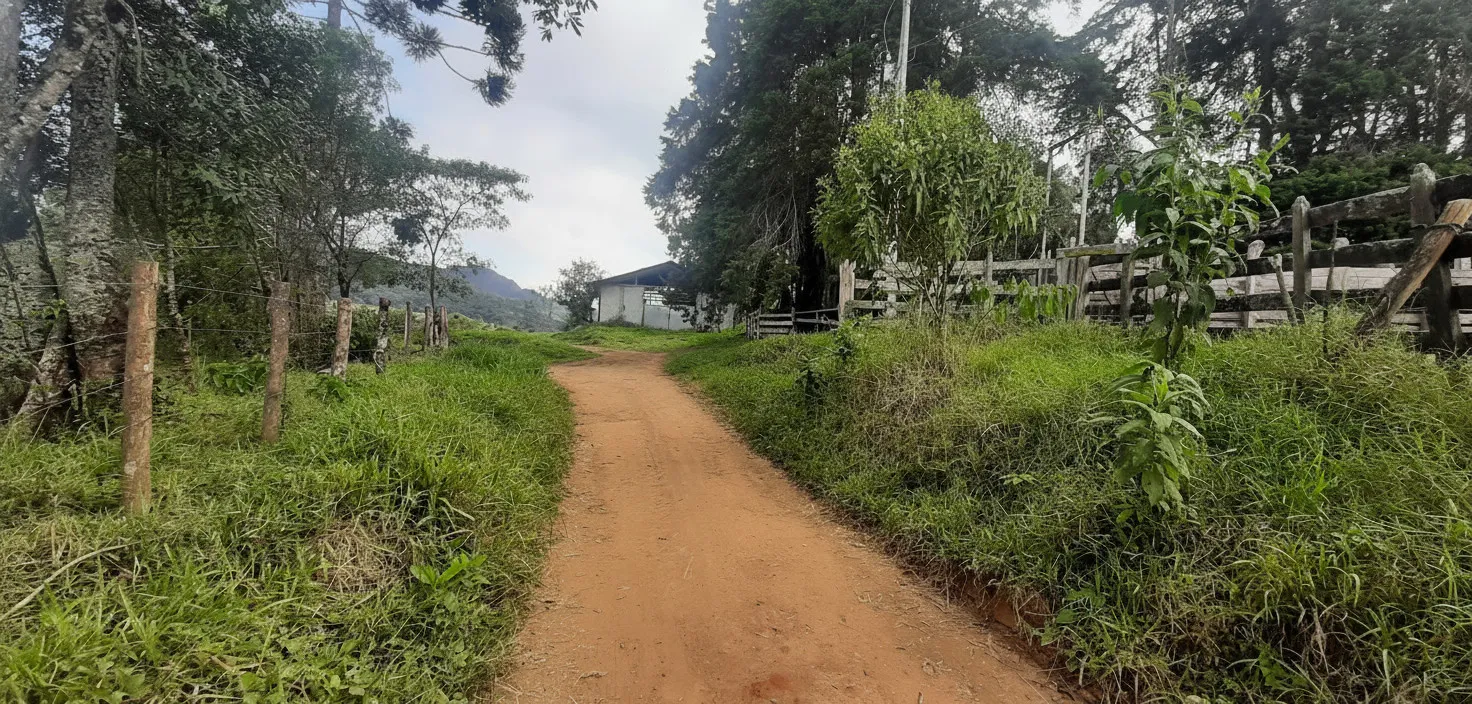Imagem Fazenda 338,8 ha à venda em Itacolomi, Ipuiúna
