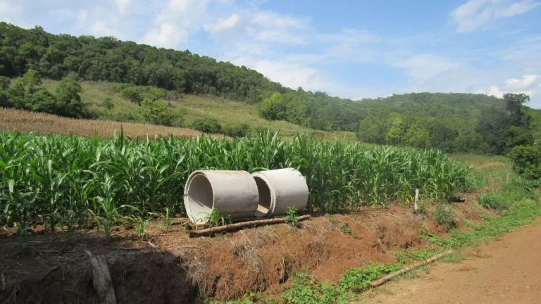 Foto do imóvel Área Agrícola para Venda em Concórdia, Linha Sertão em Concordia Sc