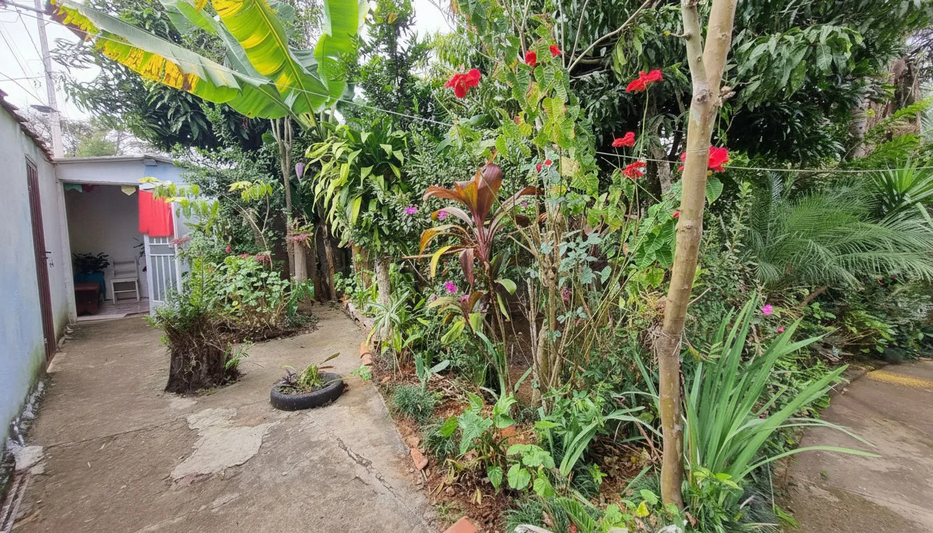 Imagem Chácara 250 m² à venda em São Miguel (João Carlos), Bandeira do Sul