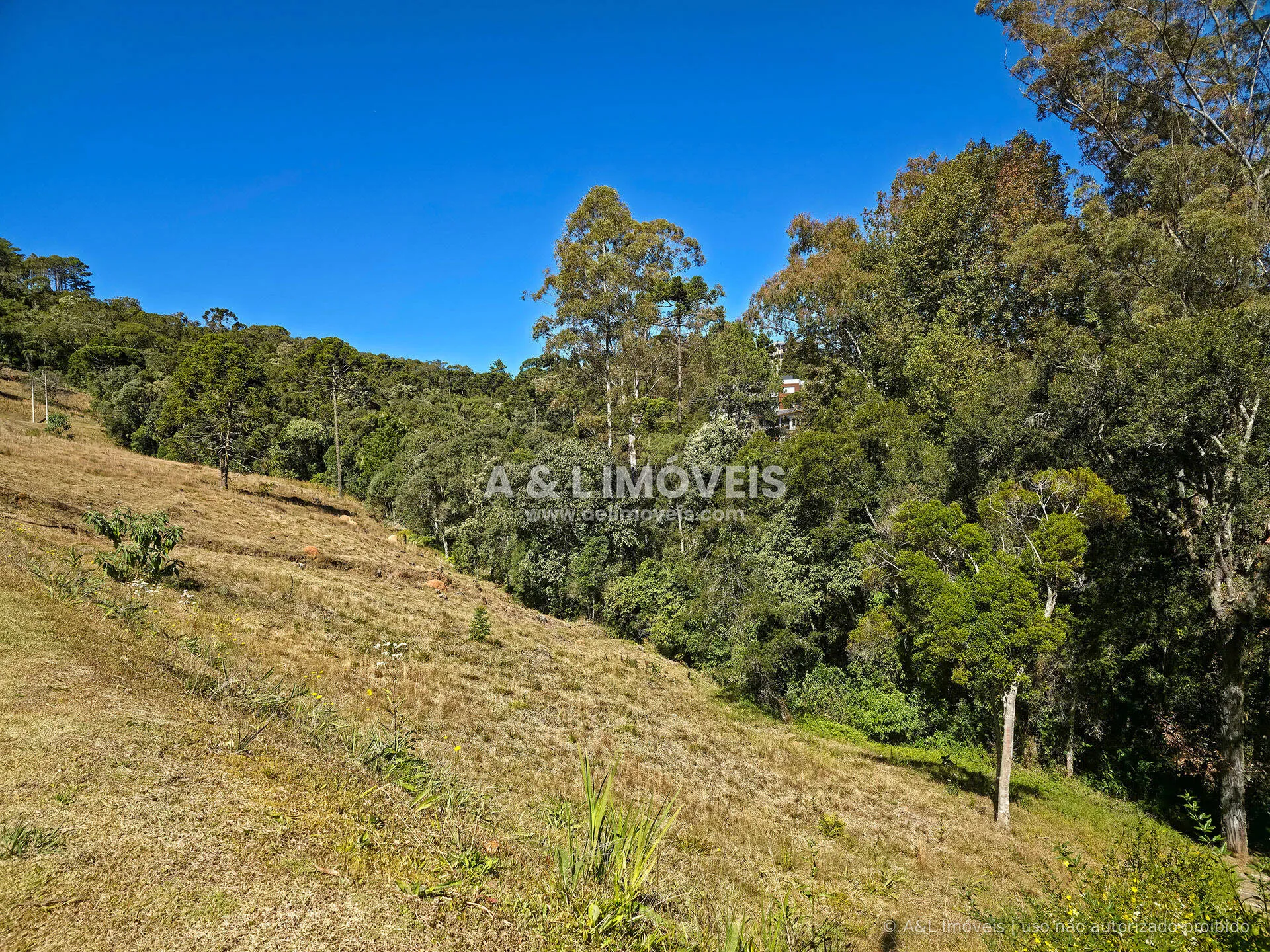 Imagem Lote à venda no Reserva Figueiredo | Campos do Jordão