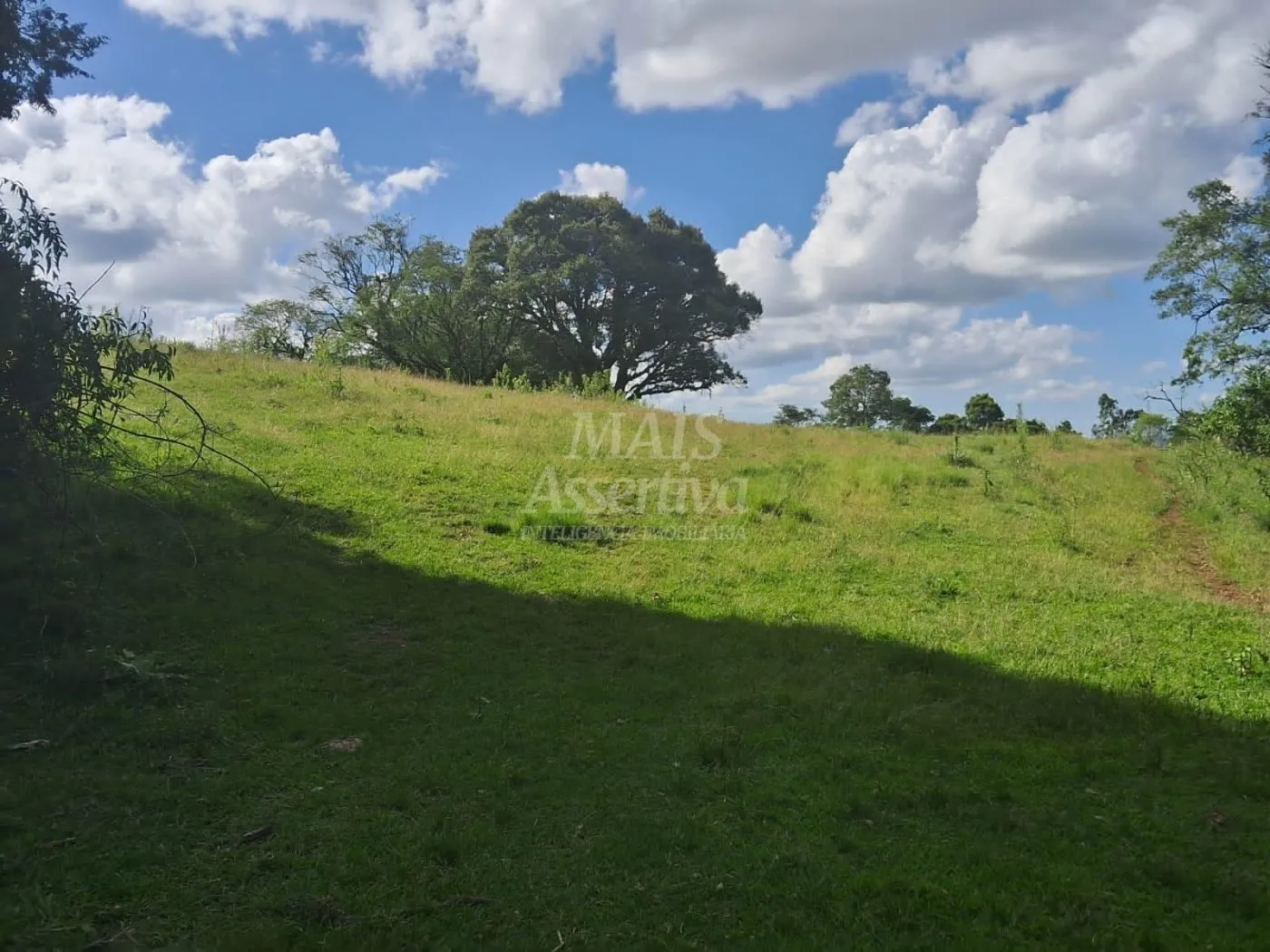 Imagem Área de Terras à venda, localizada em Taquara, ótima para plantação ou criação