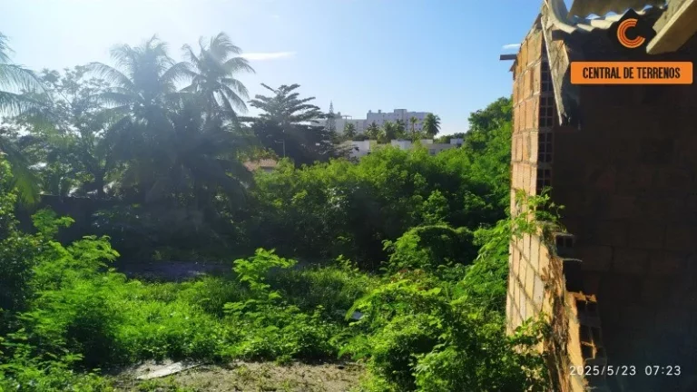Imagem TERRENO NO MIRAGEM