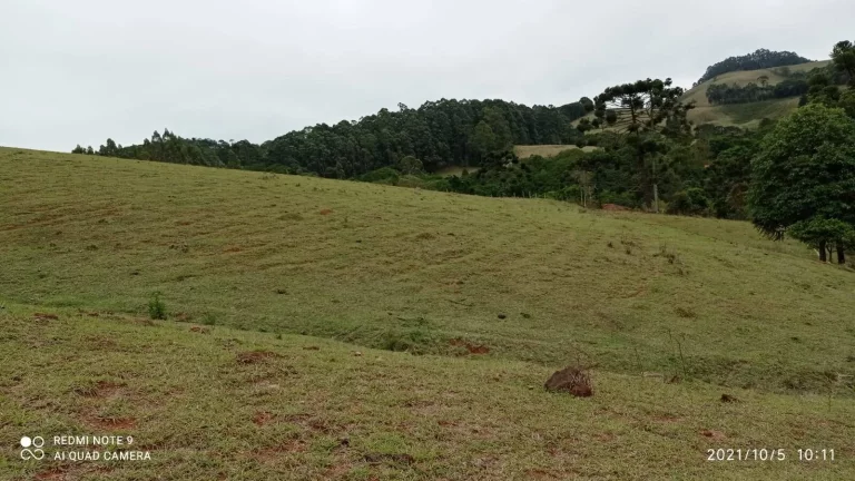 Imagem Sítio Joanópolis 11 alqueires pasto riacho escritura!!