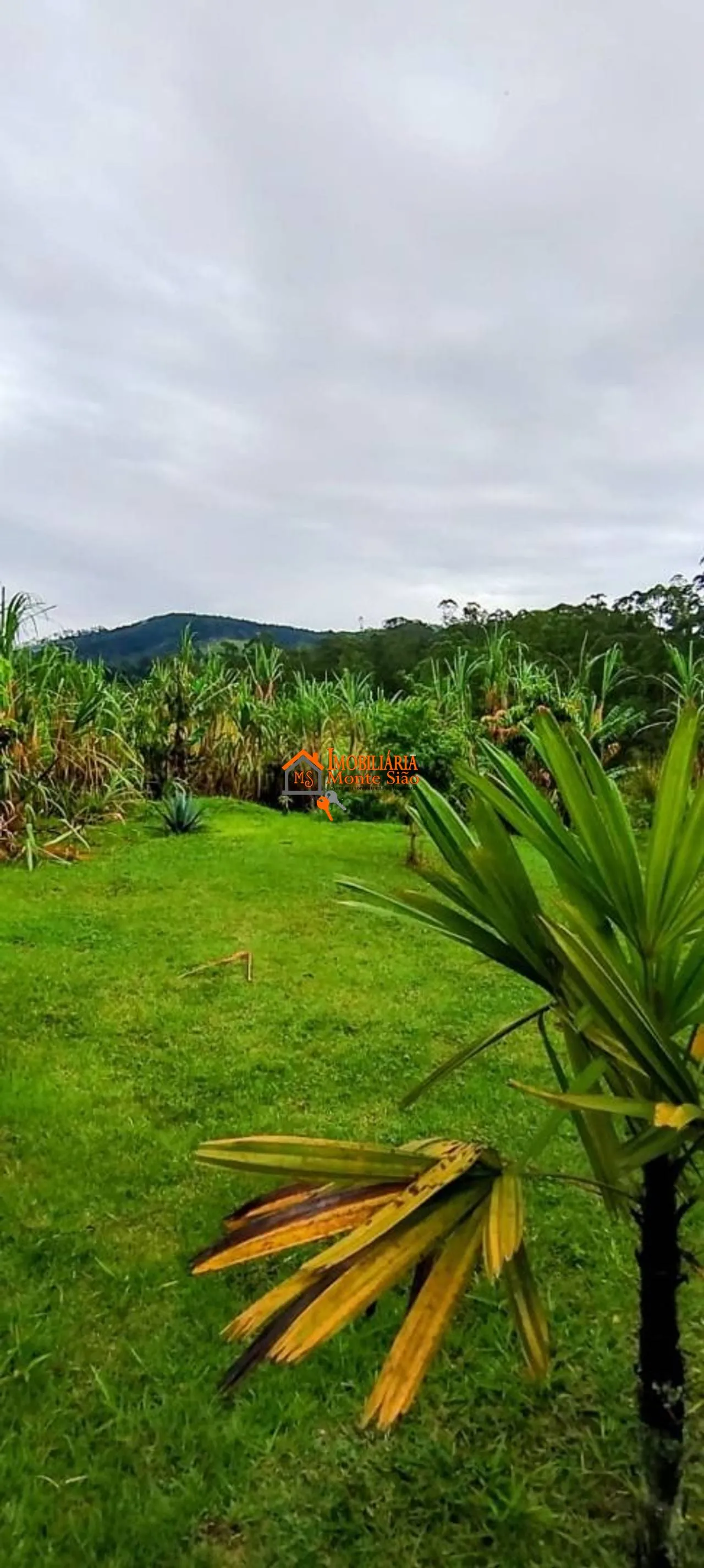 Imagem Apartamento com 2 dormitórios à venda, 49 m² por R$ 310.000,00 - Parque Continental II - Guarulhos/SP