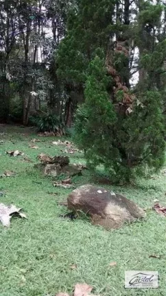Imagem Chácara Rural à venda, Santana, Cotia - .
