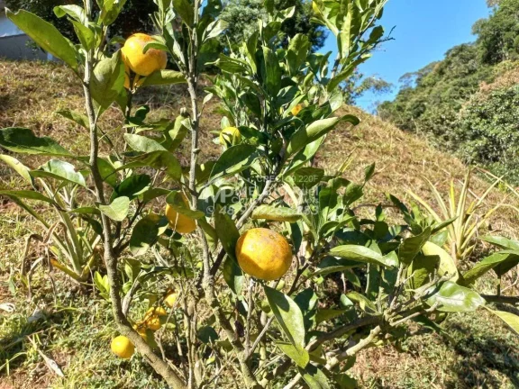 Imagem Lindo SÍTIO A VENDA EM MAJOR GERCINO/ SC Casa mista madeira e alvenaria. Contrato de compra e venda em cima da escritura total da terra.