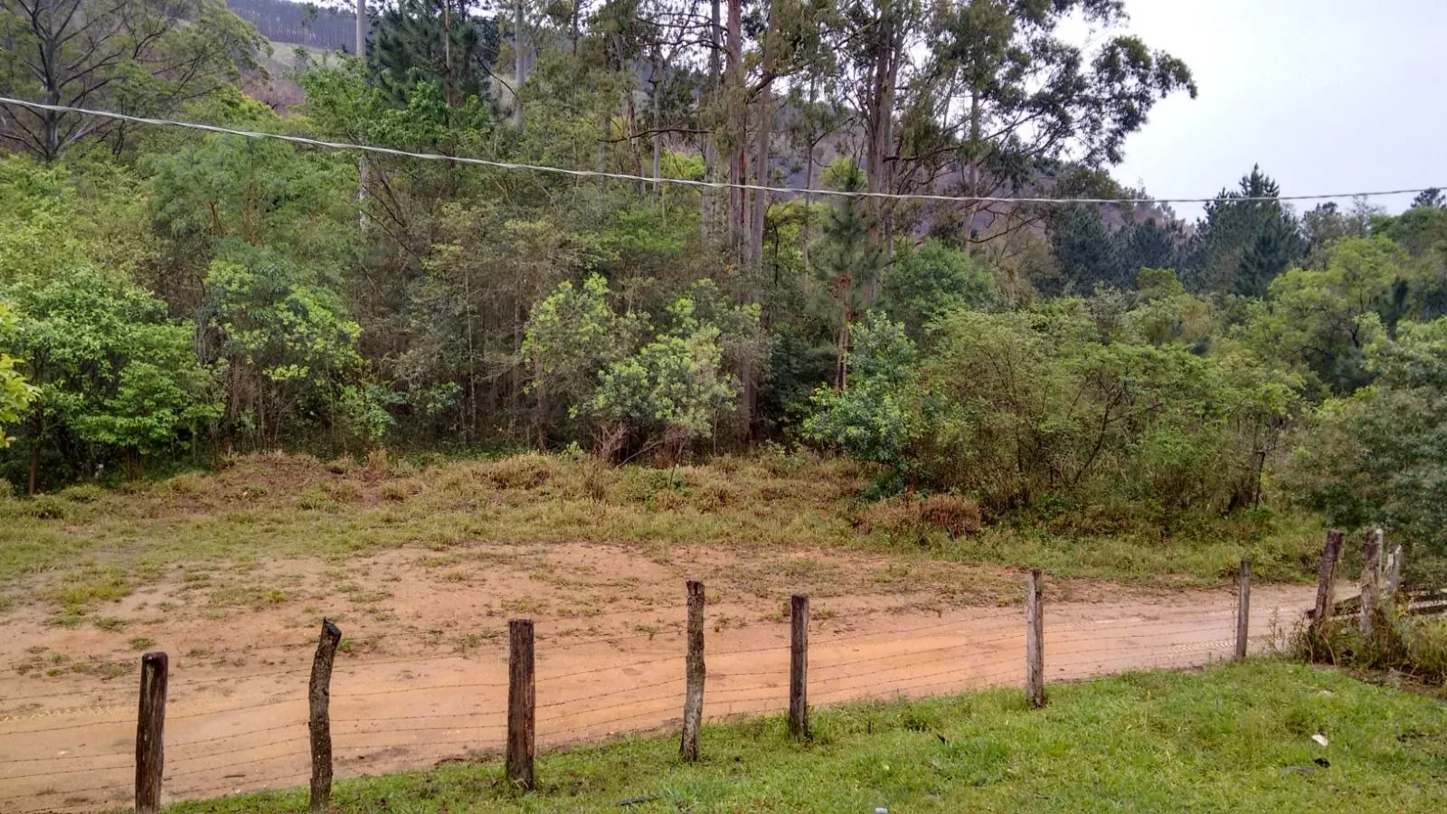 Imagem Oportunidade: Sítio com Muito Verde e Água de Nascente