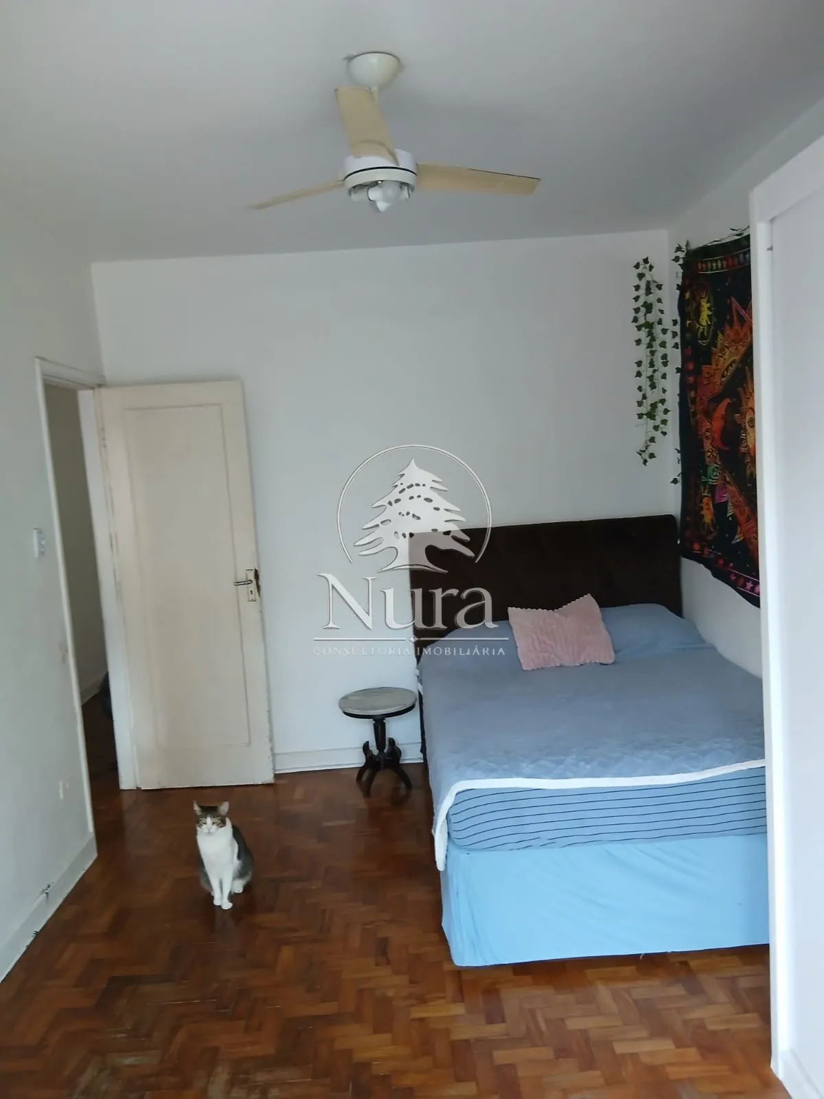 Imagem Apartamento de 2 quartos, 73m² no bairro Aparecida, em Santos