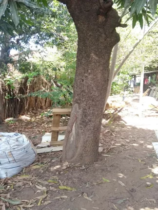 Imagem Ponto Comercial com 231m² no Centro - Barreiras/Bahia