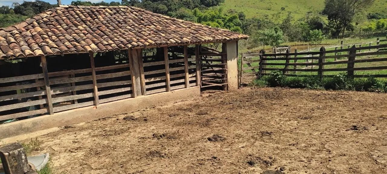 Imagem vendo um belo sítio em Piedade dos Gerais /MG com 12 hectares de terra ( 120.000 m² ),