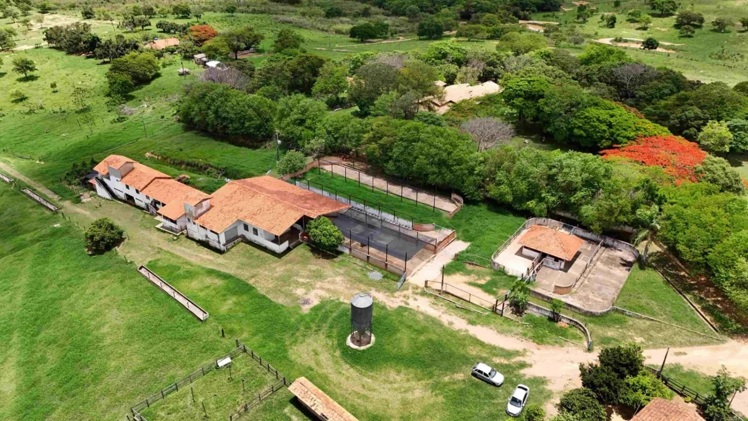 Imagem FAZENDA À VENDA - MORRO DA GARÇA (MG) 165 hectares de área total,