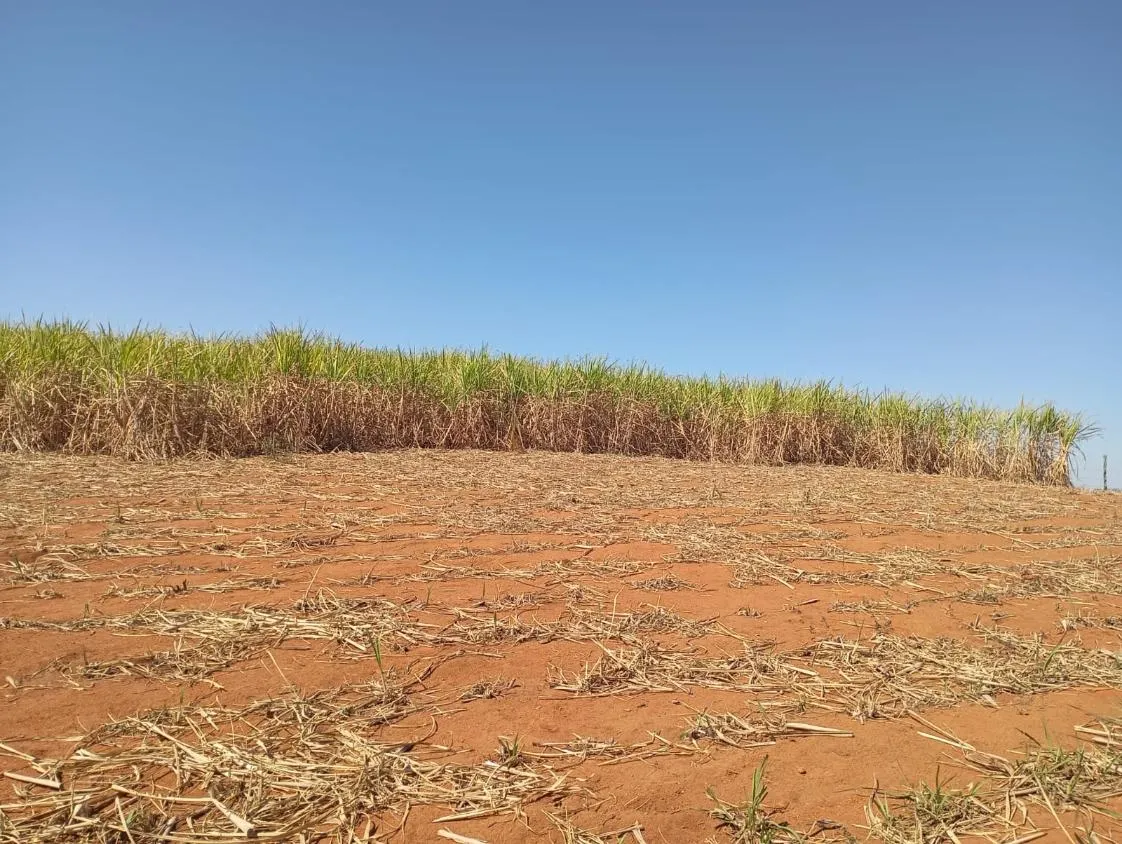 Imagem Vendo excelente sítio/fazendinha em Piedade dos Gerais/MG, com 30 hectares de terra