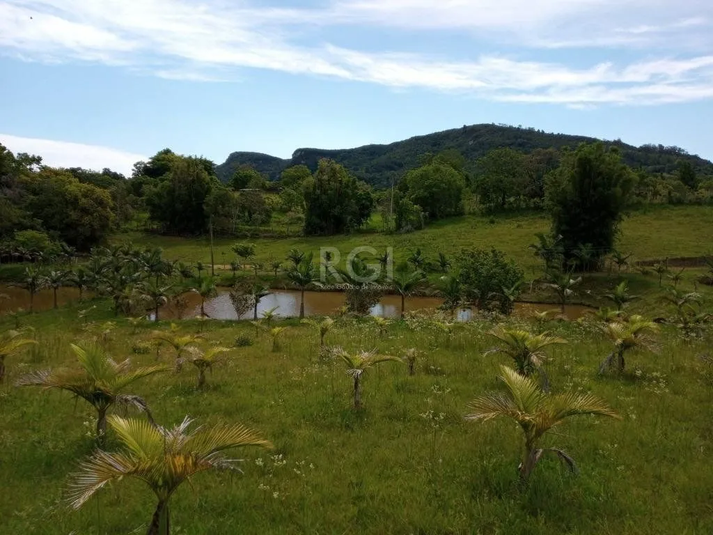Imagem Boletto Imóveis vende Sitio na RS, Com 7 casas, 2 comerciais, excelente local para vários seguimento fácil acesso , rota para gramado, R$3.900,000,00