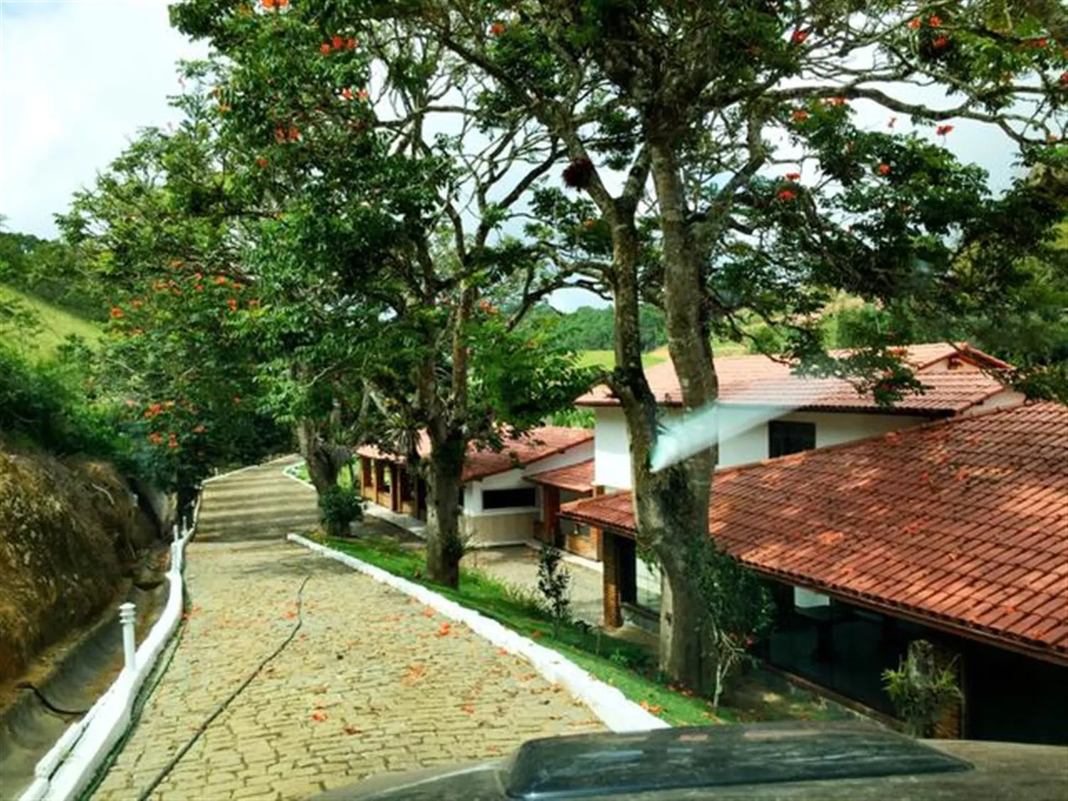 Imagem Fazenda / Sítios / Chácaras com 4 quartos à venda em Santa Teresa