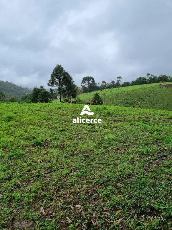 Imagem Terreno à venda com , 30.000m² em Vargedo Rancho Queimado