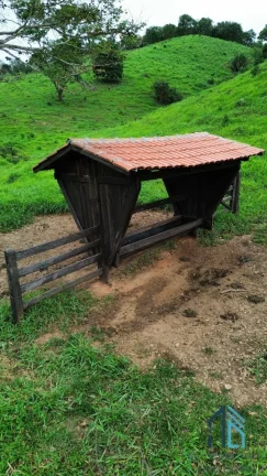 Imagem Fazenda a venda 82 alqueires em Campinacu -Goiania - GO