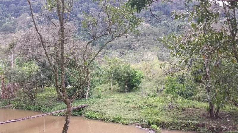 Imagem Chácara à venda 3 Quartos, 4 Vagas, 10000M², Ribeirão Grande, Pindamonhangaba - SP