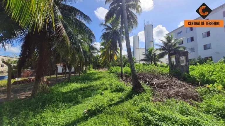 Imagem TERRENO EM ABRANTES