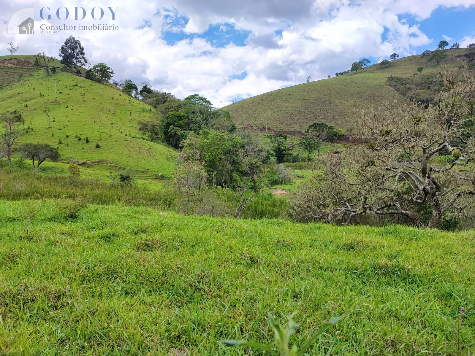 Imagem Área de 48.000 m² com excelente localização em Cunha/SP.