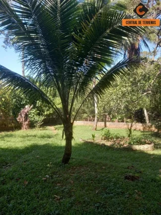 Imagem SÍTIO EM ABRANTES