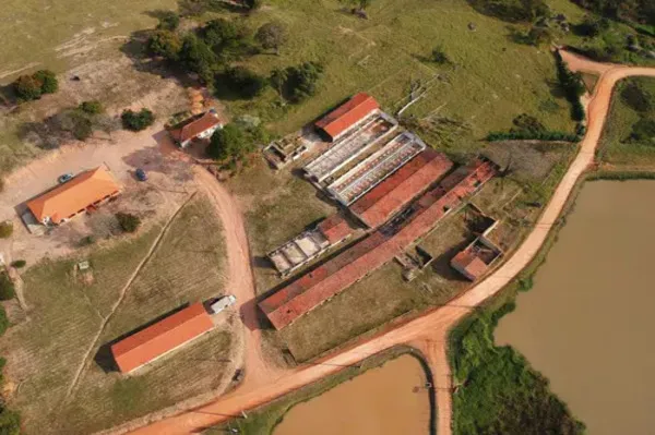 Imagem Sítio à venda em Itu-SP, 7 quartos, 2 salas, 3 banheiros, 5 vagas, 17.000m² de área. Venha conhecer!