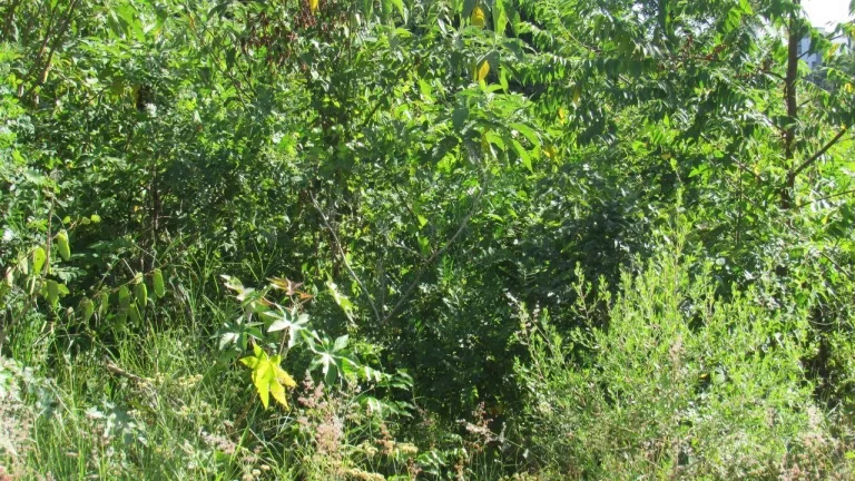 Imagem Terreno para Venda em Concórdia, Jardim