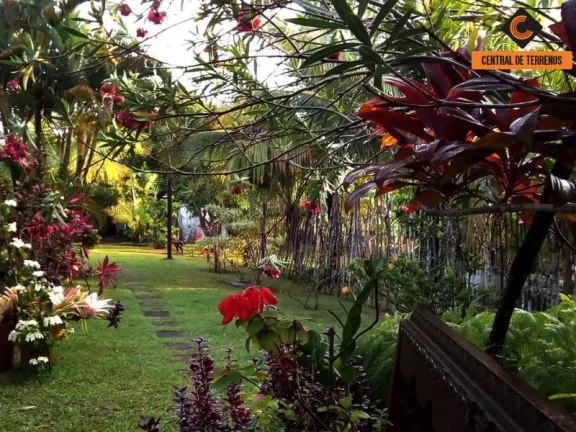 Imagem SITIO EM BARRA DE POJUCA