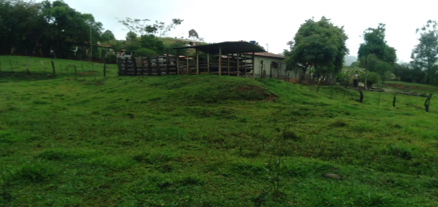 Imagem Vendo um belíssimo sítio em Crucilândia/MG, com 15.000 m² de terreno