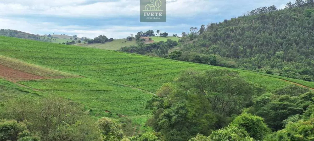 Foto do imóvel Ampla Área à Venda no Bairro da Lagoa - Socorro/SP em José Maria de Azevedo e Souza (esc)