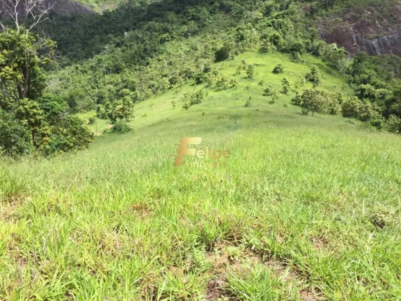 Imagem Fazenda de aproximadamente 50 alqueires.
