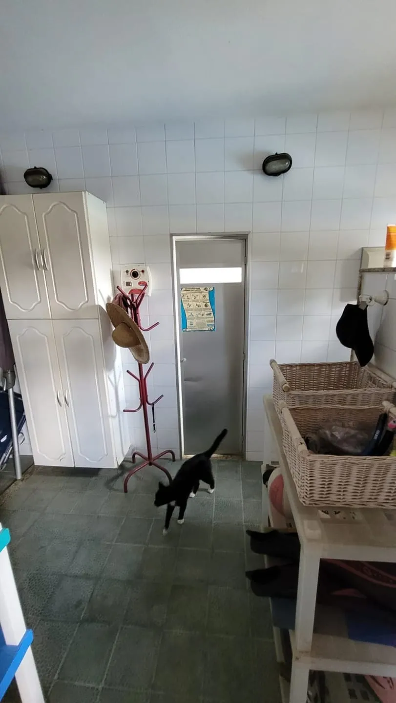 Imagem Casa para Locação 5 Quartos, 3 Suites, 3 Vagas, 350M², Bela Vista, Pindamonhangaba - SP