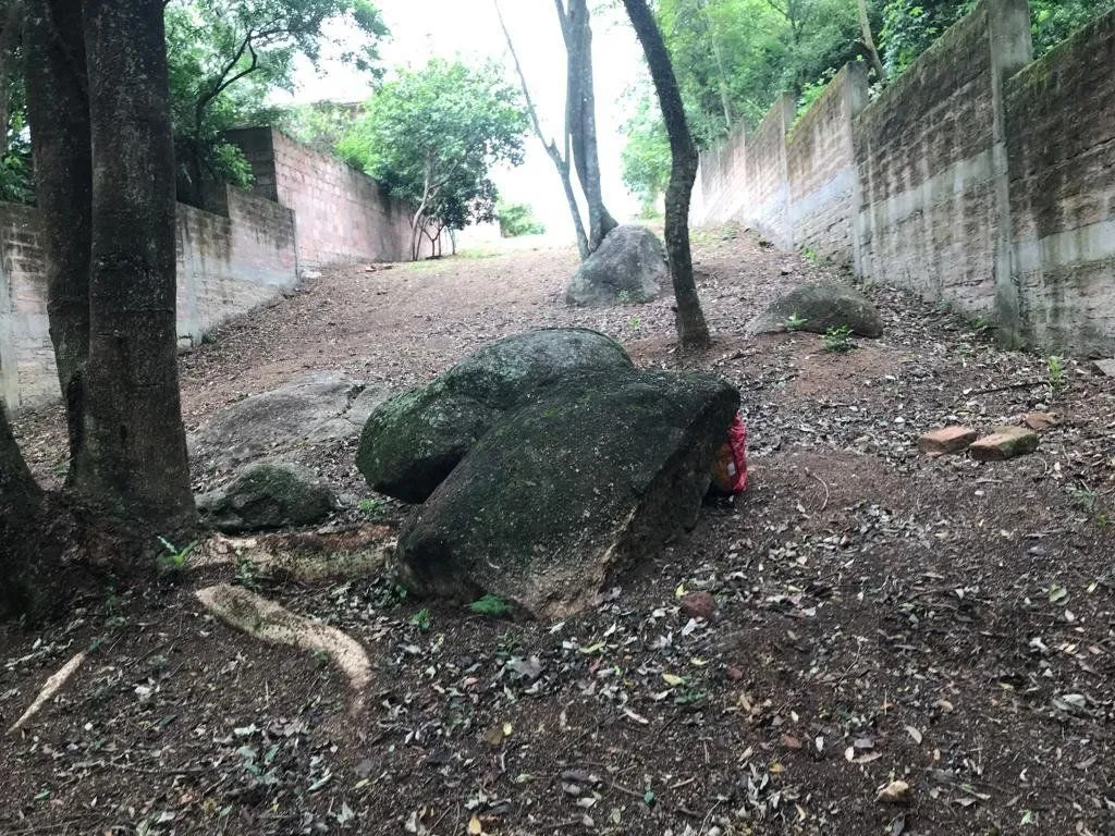 Imagem Terreno em Belém Velho