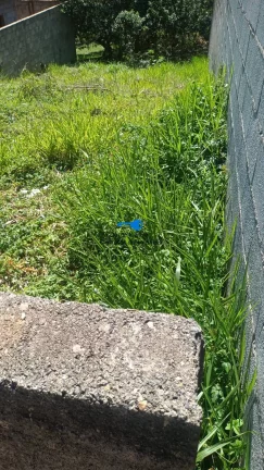 Imagem Terreno atrás do McDonald's 140m2