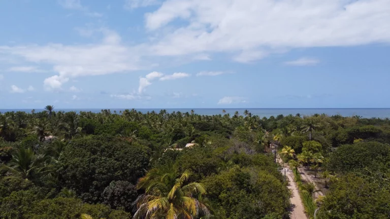 Imagem Glebas na Ponta da Baleia