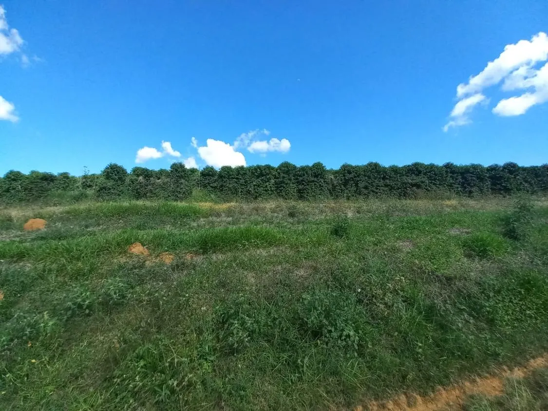 Imagem FAZENDA À VENDA - SANTO ANTÔNIO DO AMPARO (MG) 948 hectares de área total