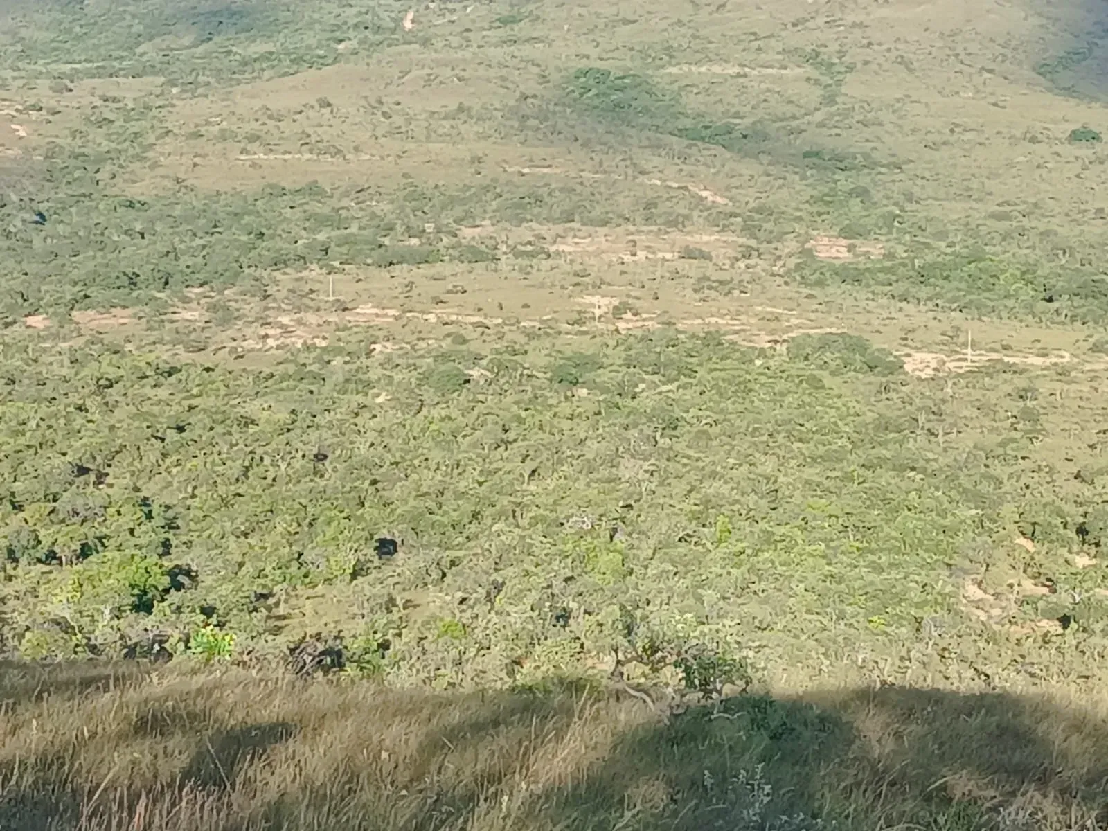 Imagem Fazenda à Venda, 247 HA em Samambaia Sul - Brasília