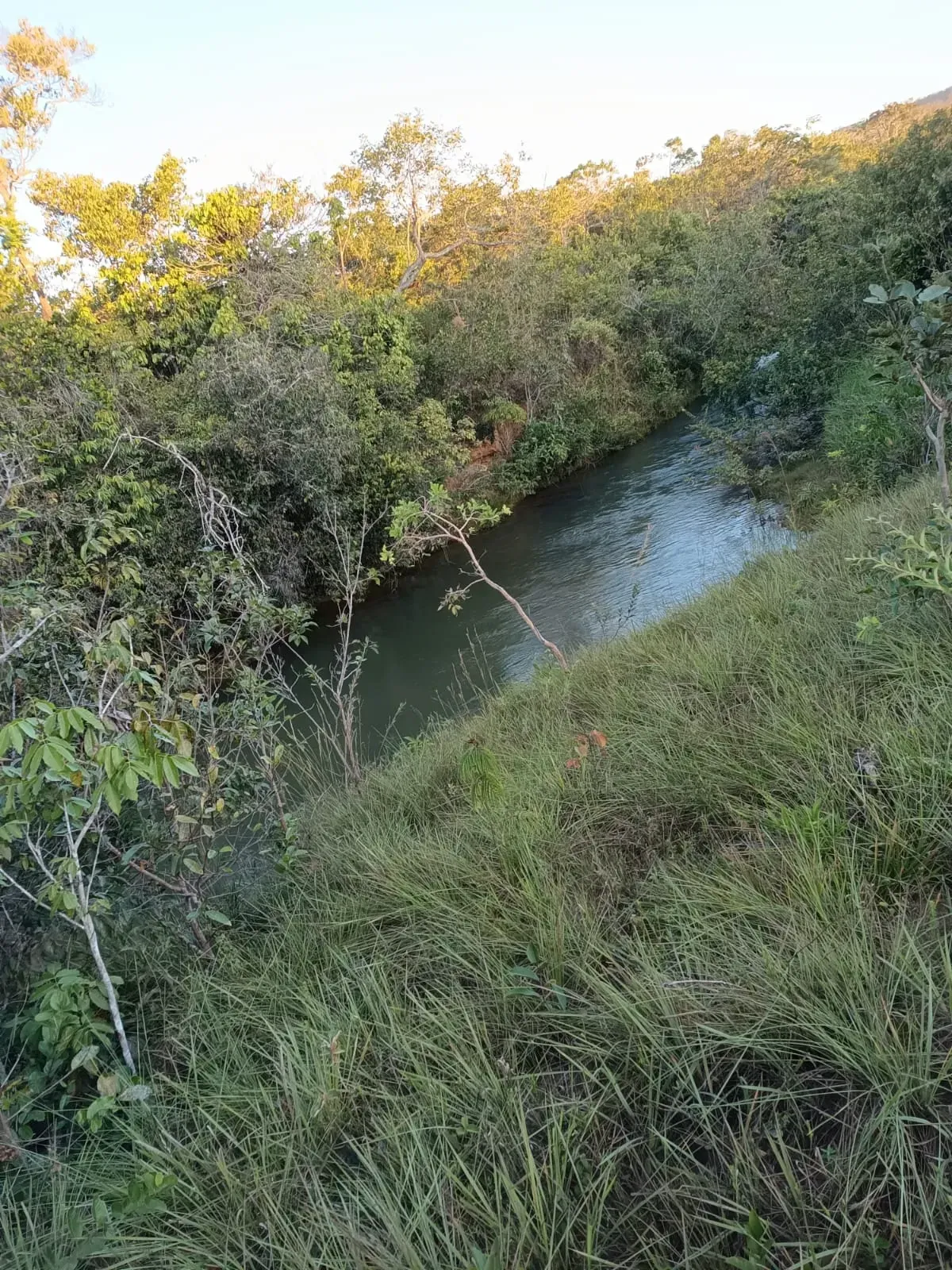 Imagem Fazenda à Venda, 247 HA em Samambaia Sul - Brasília